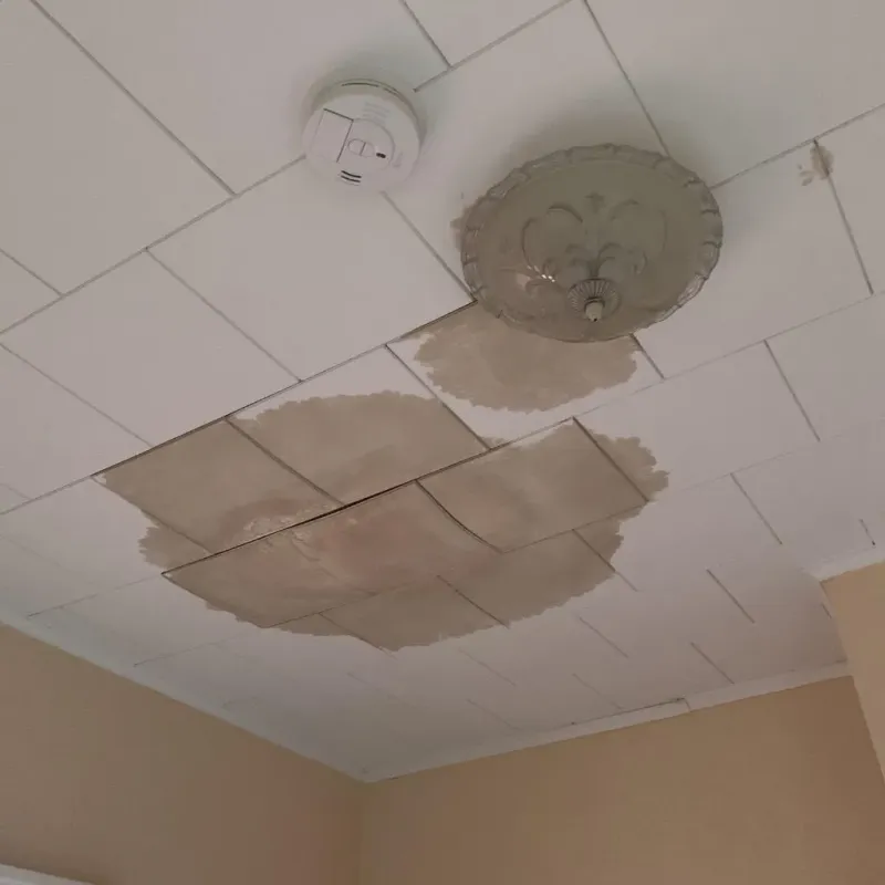 Ceiling Water Damage Repair in Coralville, IA
