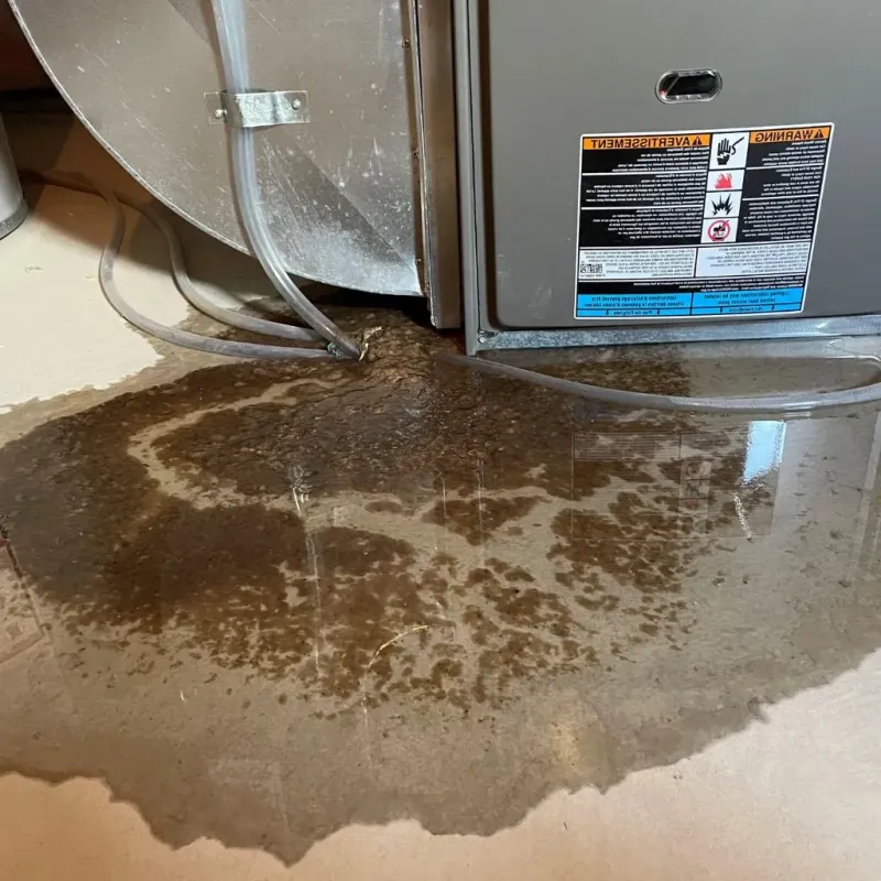 Pipe Burst and Leak Restoration in Coralville, IA