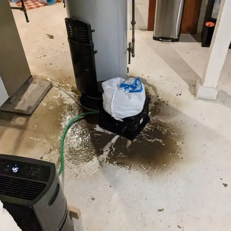 Sewage Backup Cleanup Service in Coralville, IA